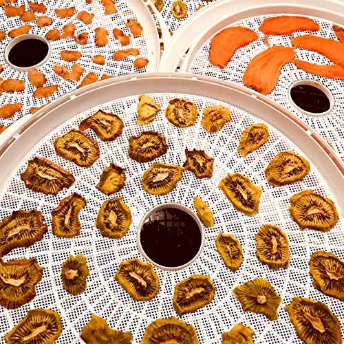 DOSTK (8 Pack) Round Silicone Dehydrator Sheets, Dostk Premium Non Stick Silicone Mesh for Fruit Dehydrator, Tray Liner Reusable (Round 13" Diameter) - Image 5