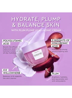 Plum Plump Moisturizer with Hyaluronic Acid Daily Skin Moisturizer to Plump, Balance and Brighten Skin -Mini - pzsku/ZBA8FD9AFE9252565B091Z/45/_/1710879090/3f552a70-cf15-46c3-be24-6796752ae82e