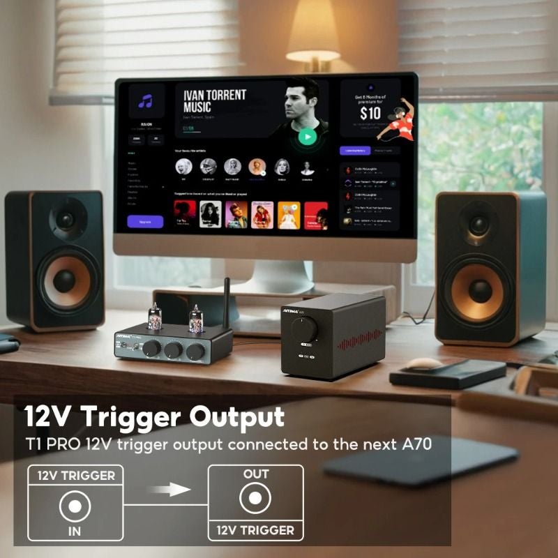 AIYIMA إلكترونيات AIYIMA T1PRO - Image 2