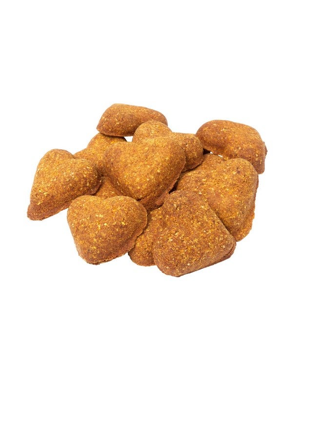 دارفورد وصفة اليقطين الخالية من الحبوب للكلاب، 12 أونصة - Image 3