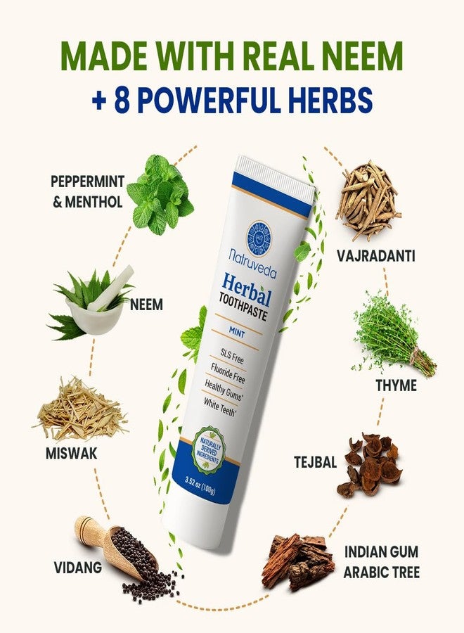Natruveda Neem Herbal Toothpaste | Fluoride Free, SLS Free, Natural Toothpaste for Adults | Ayurvedic Oral Care with Miswak | 3.52 oz (2 Pack - Image 3