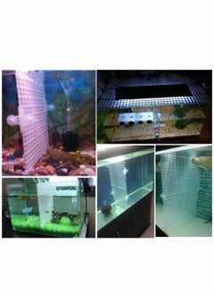 Generic 6 PCS Aquarium Divider Filter Tray Egg Crate Fish Tank Bottom Isolation, White, 30 cm x 15cm  - Image 3