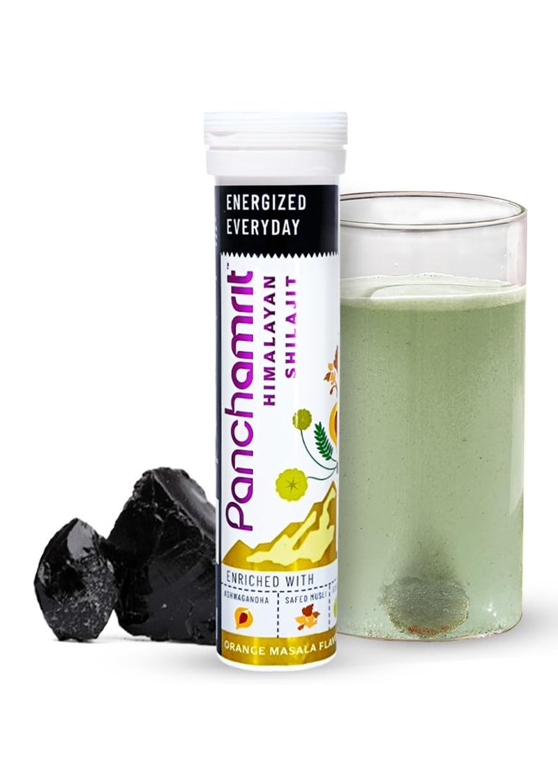 بانشامريت الهيمالايا شيلاجيت وتريفالا كومبو - Image 2