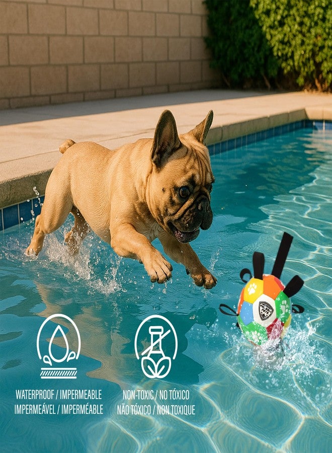 Maccabi Interactive Dog Soccer Ball for Dogs, 6” with Straps & Grab Tabs, Floats on Water, Fetch & Training Toy for Small/Medium Dogs, Herding Breeds, Waterproof Non-Toxic - ProBall Pets - Multicolor - Image 4