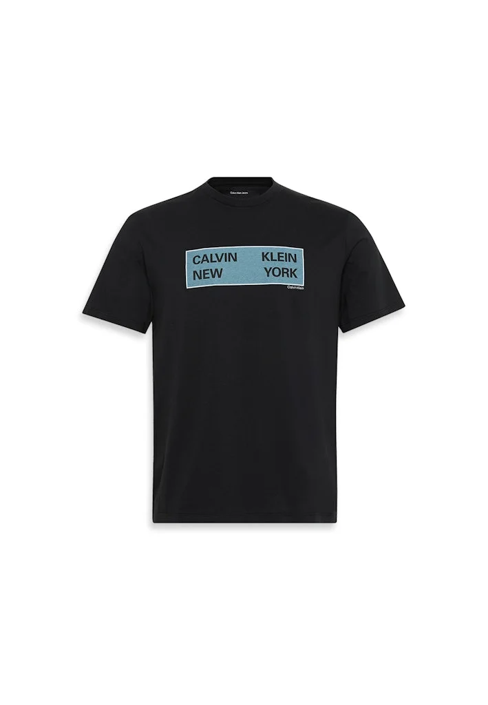 Calvin Klein Jeans 30S Graphic Crew Neck T-Shirt