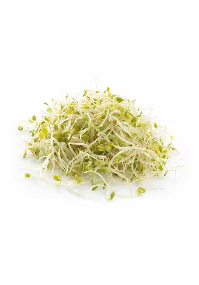 Alfalfa Sprouts, 100g, Netherlands