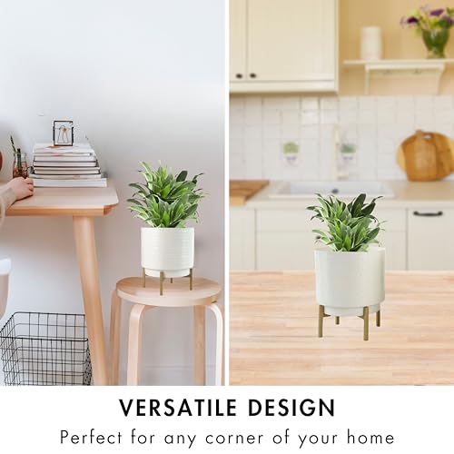 BEHOMA Hammered Metal Indoor Planter for Table Top and Floor | Living Room Drawing Room Balcony Office | Decoration Ideas for Plants | Size Height- 8" x Dia. 6" inch, White (Plants not Included) - Image 5