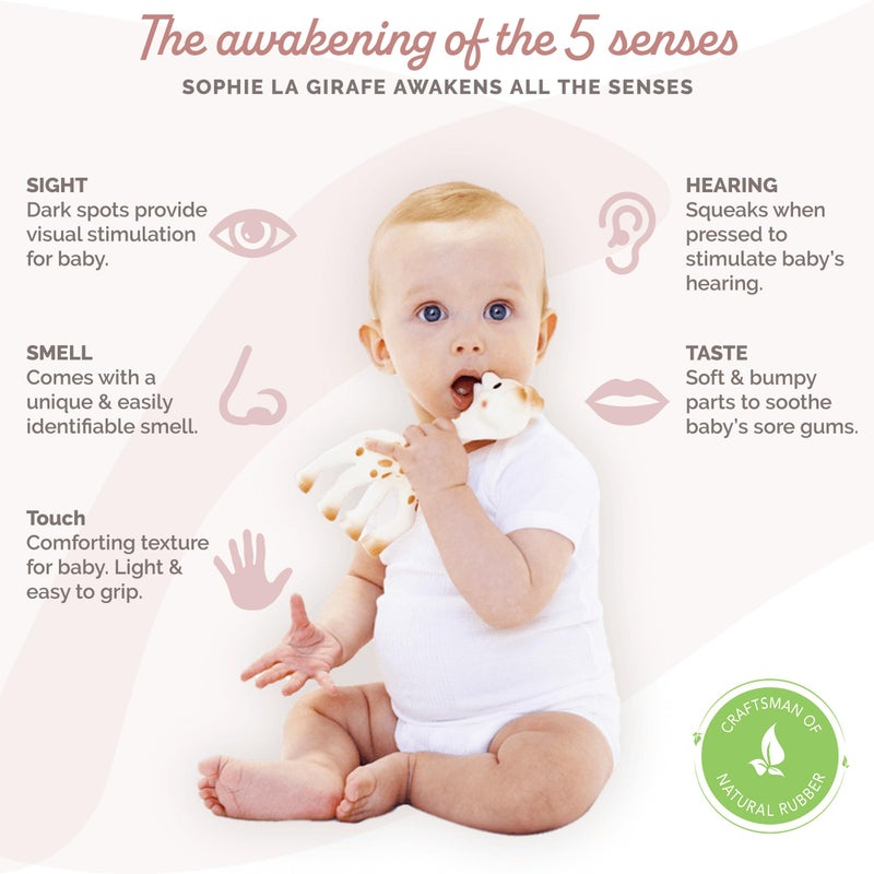 Sophie la girafe, Award Set | Includes Sophie la girafe, a Sophie la girafe Mini Teether & Photo Instructions | Handcrafted for 60 Years in France | Natural Rubber | Designed for Teething Babies - Image 2