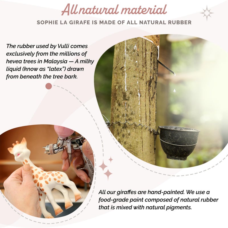 Sophie la girafe, Award Set | Includes Sophie la girafe, a Sophie la girafe Mini Teether & Photo Instructions | Handcrafted for 60 Years in France | Natural Rubber | Designed for Teething Babies - Image 5