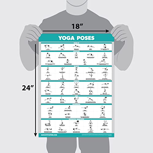 Palace Learning QUICKFIT Yoga Poses and Stretching Exercise Poster Set - Laminated 2 Chart Set - Yoga Positions & Stretching Workouts (18" x 24") - Image 3