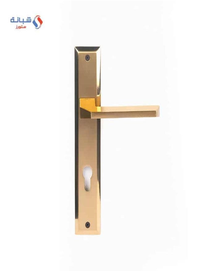 AHRAM Door handle Set Flow AL- AHRAM – Golden -FH2011P19CG101  - Image 1