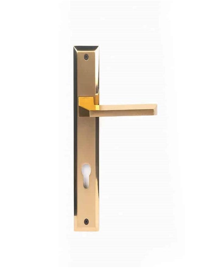 AHRAM Door handle Set Flow AL- AHRAM – Golden -FH2011P19CG101  - Image 2