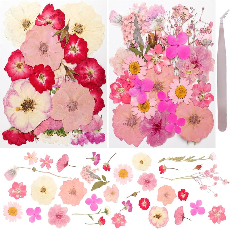 Gvhntk 50Pcs Dried Pressed Flowers Real Pressed Flowers Natural Dry Leaves Bulk Mixed Colorful Herbs Kit with Tweezers for Scrapbooking DIY Candle Jewelry Crafts Making Nails (Pink) - Image 1