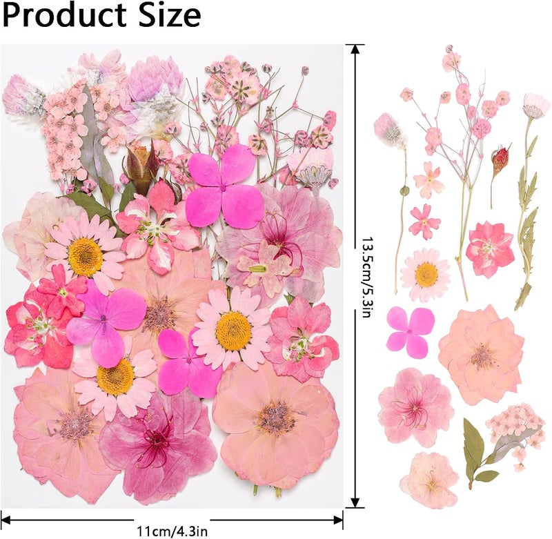 Gvhntk 50Pcs Dried Pressed Flowers Real Pressed Flowers Natural Dry Leaves Bulk Mixed Colorful Herbs Kit with Tweezers for Scrapbooking DIY Candle Jewelry Crafts Making Nails (Pink) - Image 2
