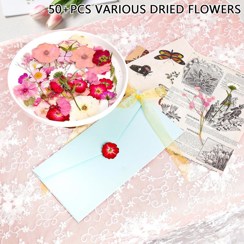 Gvhntk 50Pcs Dried Pressed Flowers Real Pressed Flowers Natural Dry Leaves Bulk Mixed Colorful Herbs Kit with Tweezers for Scrapbooking DIY Candle Jewelry Crafts Making Nails (Pink) - Image 3