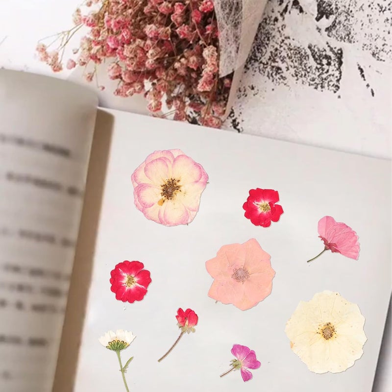 Gvhntk 50Pcs Dried Pressed Flowers Real Pressed Flowers Natural Dry Leaves Bulk Mixed Colorful Herbs Kit with Tweezers for Scrapbooking DIY Candle Jewelry Crafts Making Nails (Pink) - Image 5