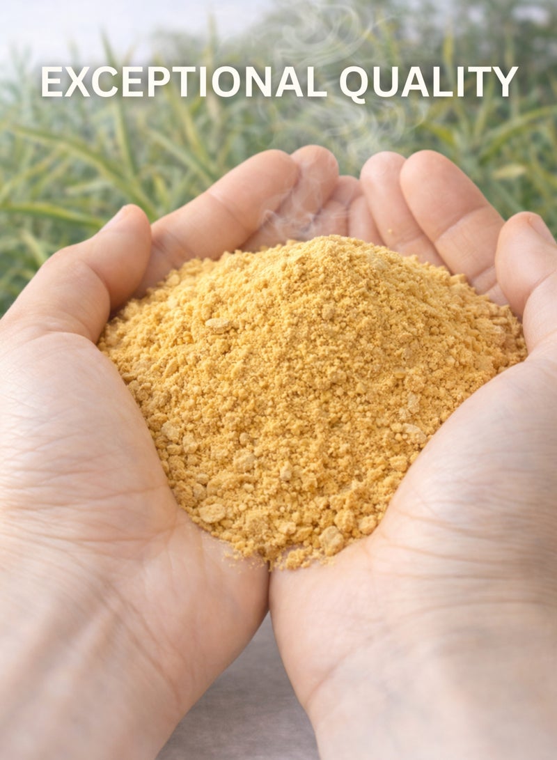 زهر مسحوق الزنجبيل (مسحوق الزنجبيل المجفف) - مسحوق جذور الزنجبيل الطبيعي المجفف عالي الجودة | مسحوق عشبي نقي 100% للاستخدام في البستنة والزراعة والنباتات والأغراض المتعددة. - Image 4