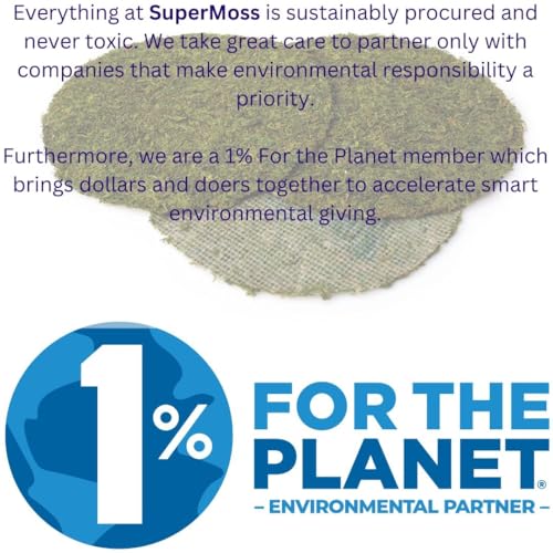 SuperMoss (26295) Moss Soil Toppers, Fresh Green, 4 (3 Units) - Image 2