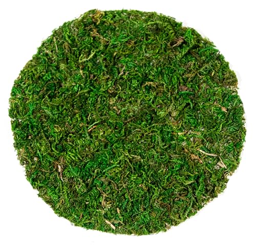 SuperMoss (26295) Moss Soil Toppers, Fresh Green, 4 (3 Units) - Image 3