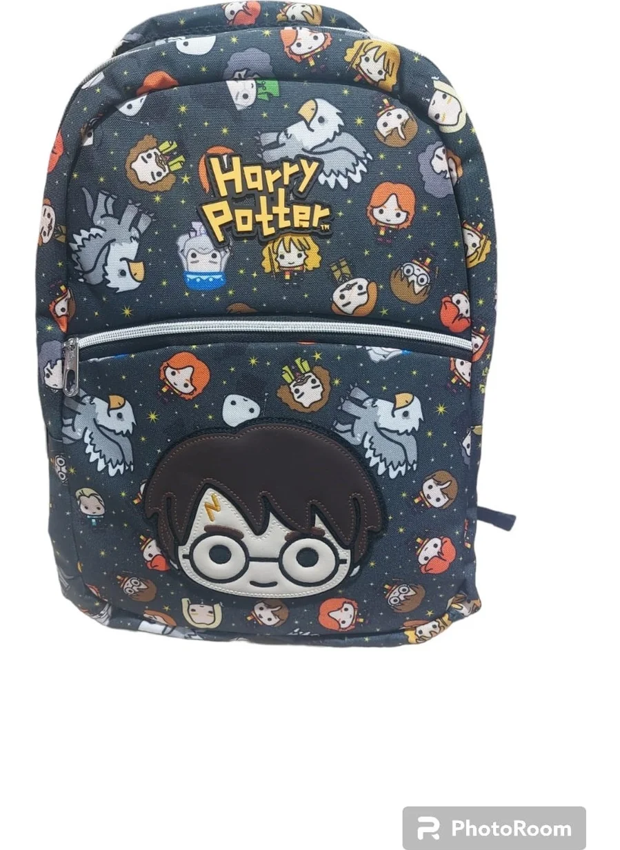 Harry Potter 2080 School Bag