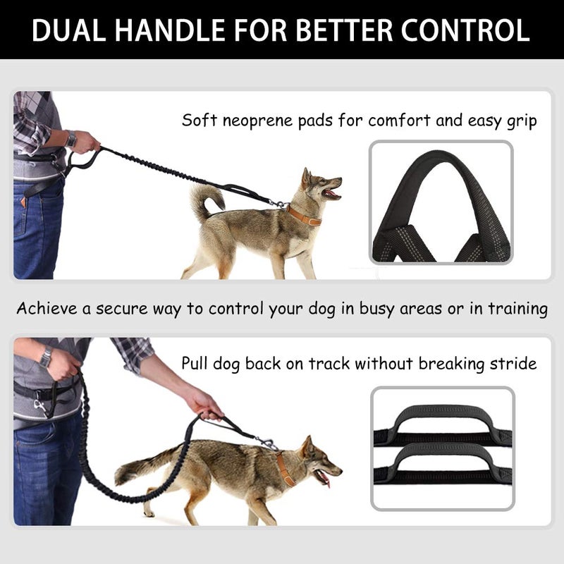 LANNEY Hands Free Dog Leash, Waist Leash for Dog Walking, Running Leash with Zipper Pouch for Medium Large Dogs, Dual Handle and Retractable Bungee Hands Free Leash for Training Jogging Hiking - Image 4