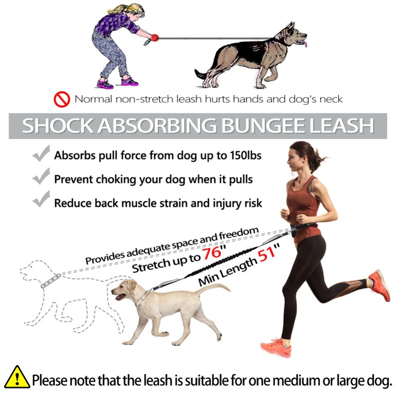LANNEY Hands Free Dog Leash, Waist Leash for Dog Walking, Running Leash with Zipper Pouch for Medium Large Dogs, Dual Handle and Retractable Bungee Hands Free Leash for Training Jogging Hiking - Image 3
