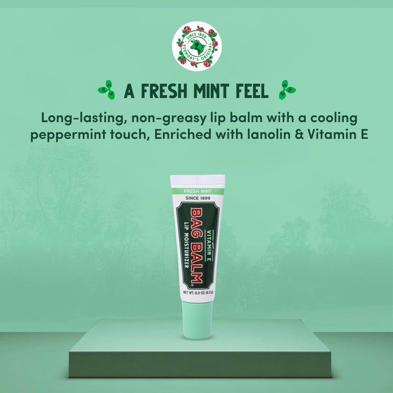 Bag Balm بلسم الشفاه الأصلي من فيرمونت خالي من العطر مع فيتامين E | عبوة من 4 أنابيب 0.3 أونصة - Image 2