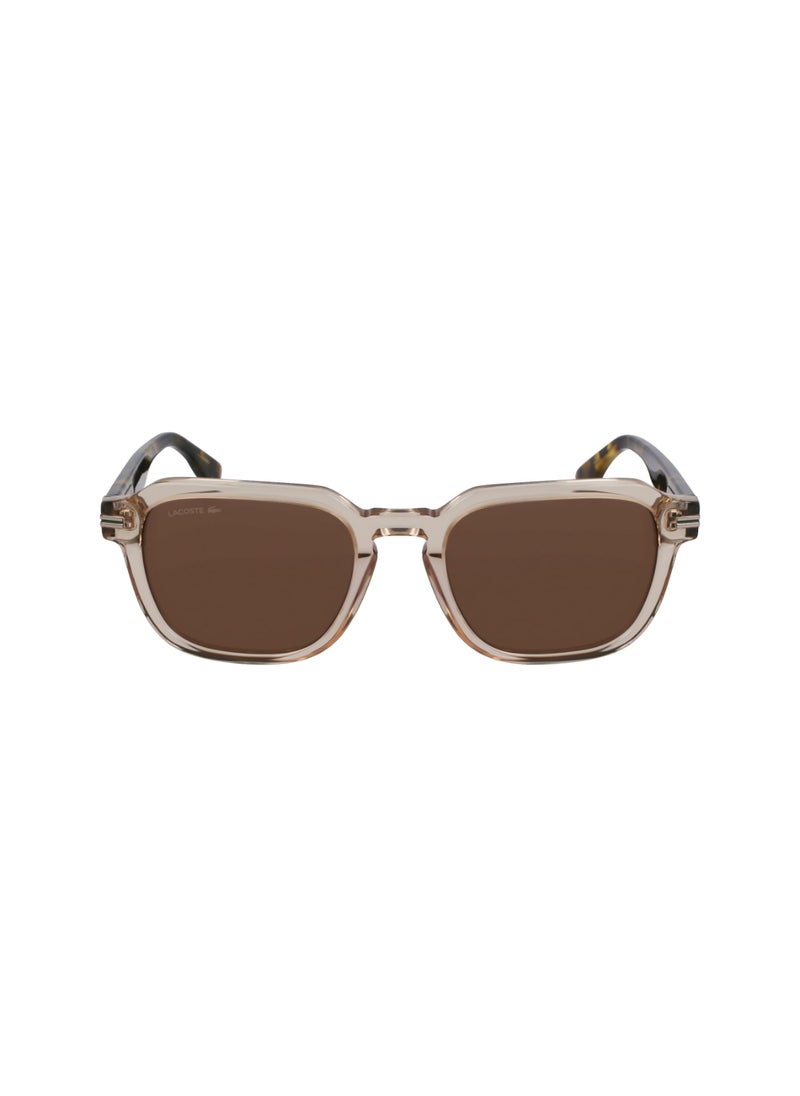 LACOSTE FULL RIM ACETATE ACETATE LACOSTE SUNS L6046S 5220 (264) SAND/HAVANA  - Image 2
