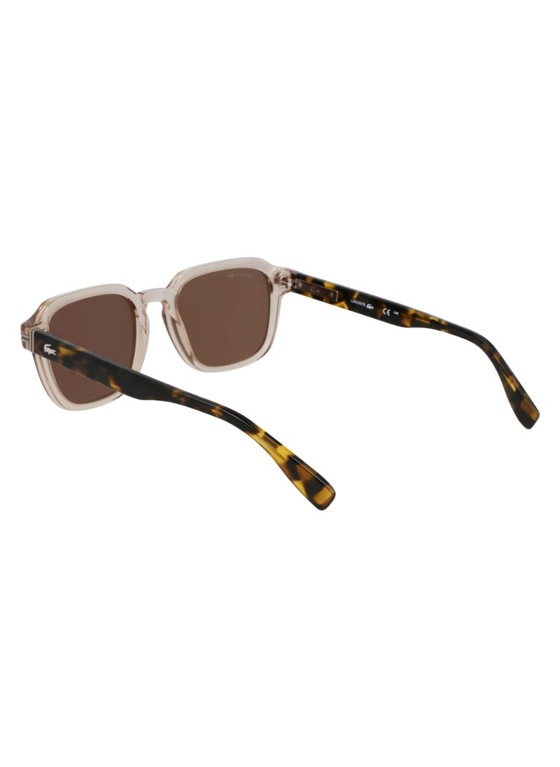 LACOSTE FULL RIM ACETATE ACETATE LACOSTE SUNS L6046S 5220 (264) SAND/HAVANA  - Image 5