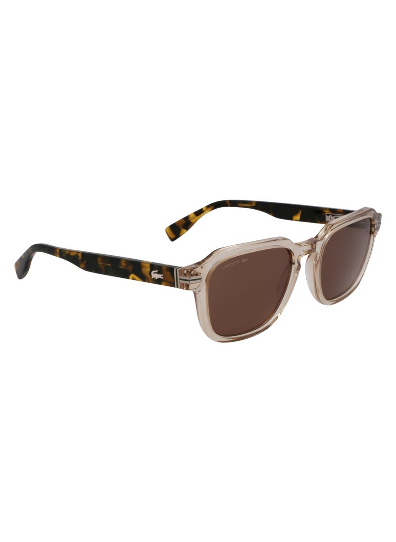 LACOSTE FULL RIM ACETATE ACETATE LACOSTE SUNS L6046S 5220 (264) SAND/HAVANA  - Image 3