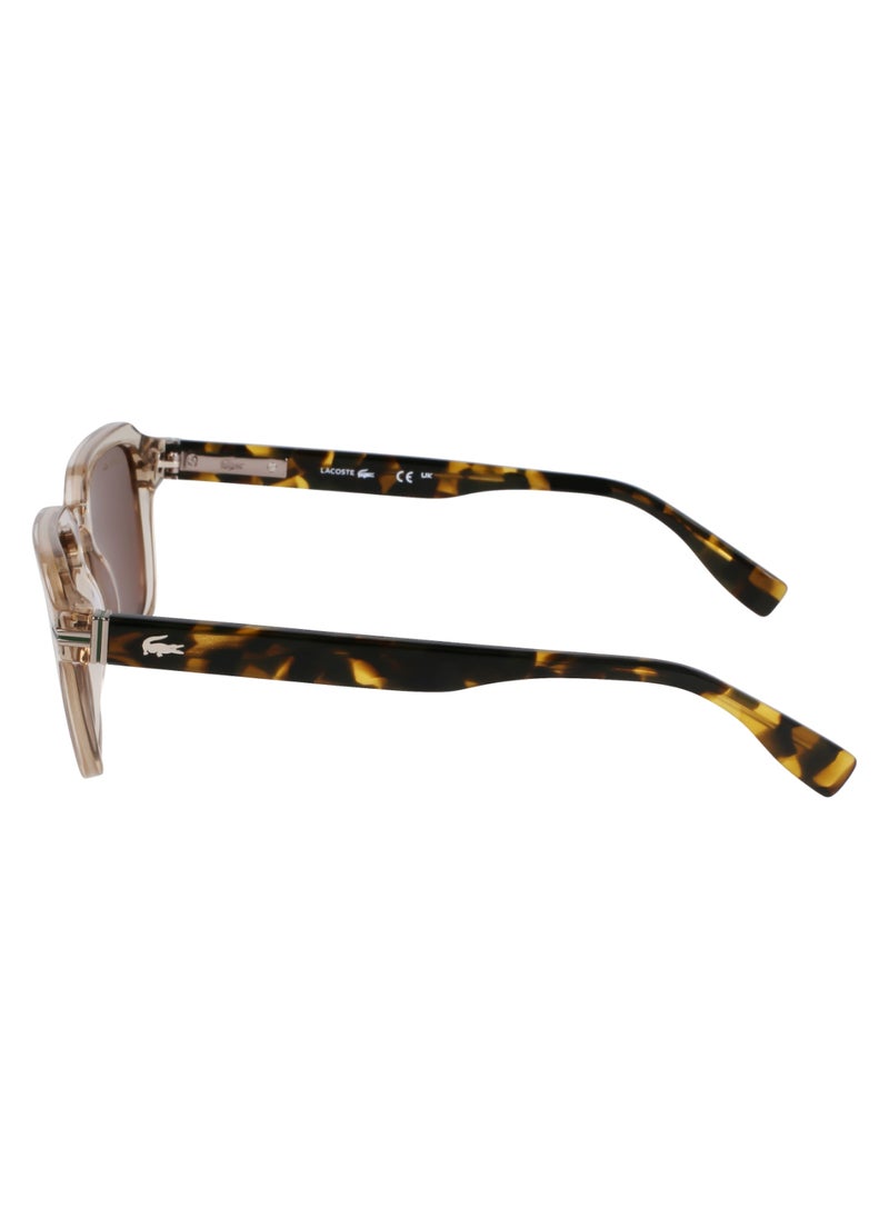 LACOSTE FULL RIM ACETATE ACETATE LACOSTE SUNS L6046S 5220 (264) SAND/HAVANA  - Image 4