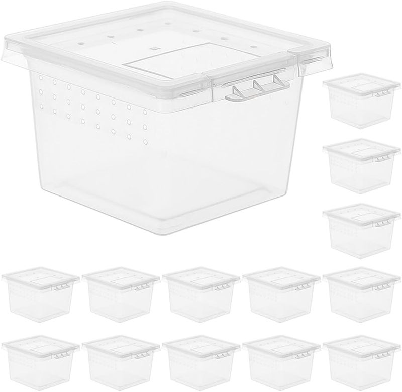 20 قطعة من صندوق تربية الزواحف الشفاف من البولي بروبيلين للأبراص والثعابين والسحالي والعناكب الرتيلاء - Image 2