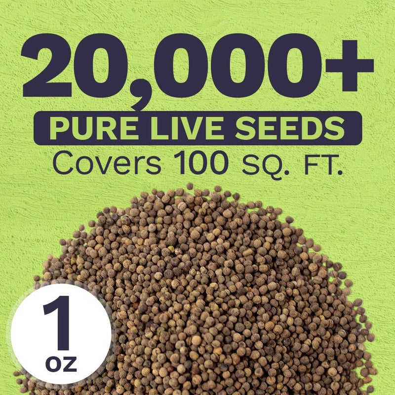 SWEET YARDS بذور زهور البرية من الخشخاش البرتقالي كاليفورنيا - عبوة 1 أونصة بالجملة - أكثر من 20,000 بذور محلية - زهرة ولاية كاليفورنيا! - Image 3