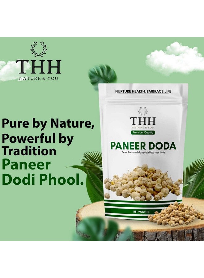 THH Paneer Doda Phool for Diabetes| Panir Dodi ka Phool (Paneer Flower)| Natural Paneer ke Phool 800gm - Image 2
