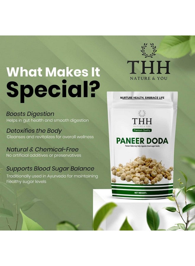 THH Paneer Doda Phool for Diabetes| Panir Dodi ka Phool (Paneer Flower)| Natural Paneer ke Phool 800gm - Image 3