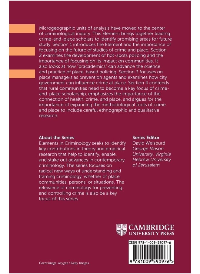 null - The Future of the Criminology of Place: New Directions for Research and Practice - Image 1