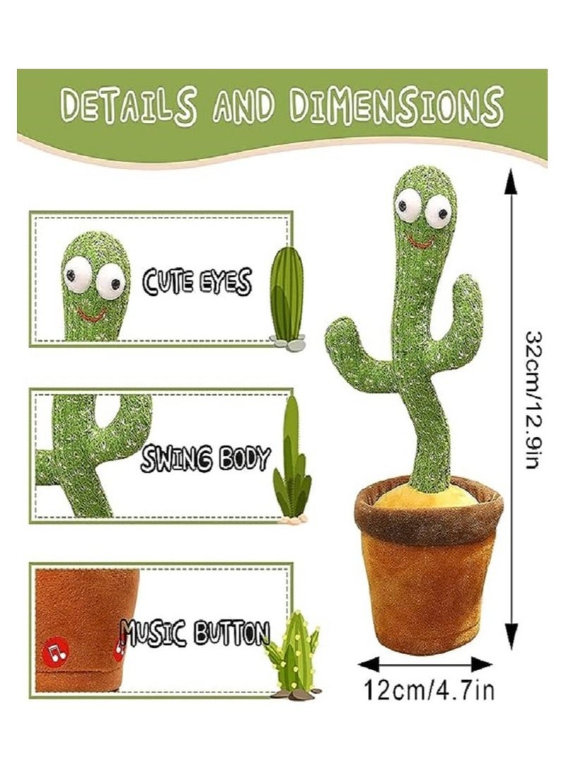 3 قطع من الصبارة الراقصة - Image 5