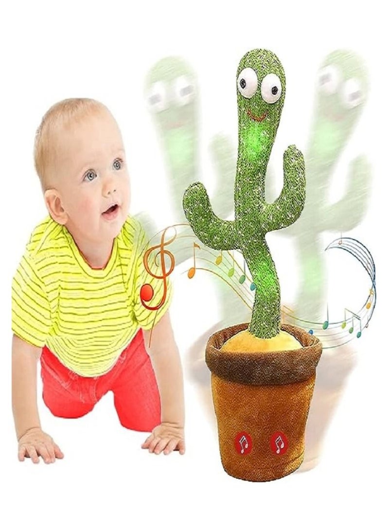 3 قطع من الصبارة الراقصة - Image 2