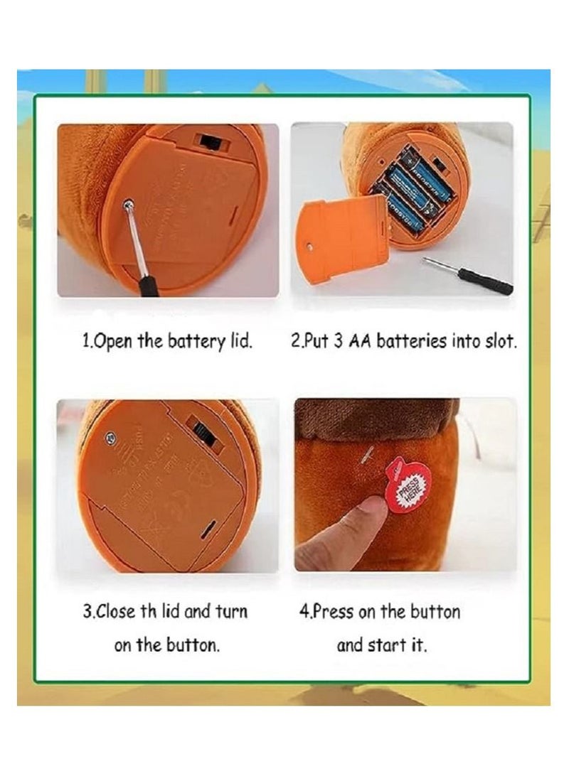 3 قطع من الصبارة الراقصة - Image 4