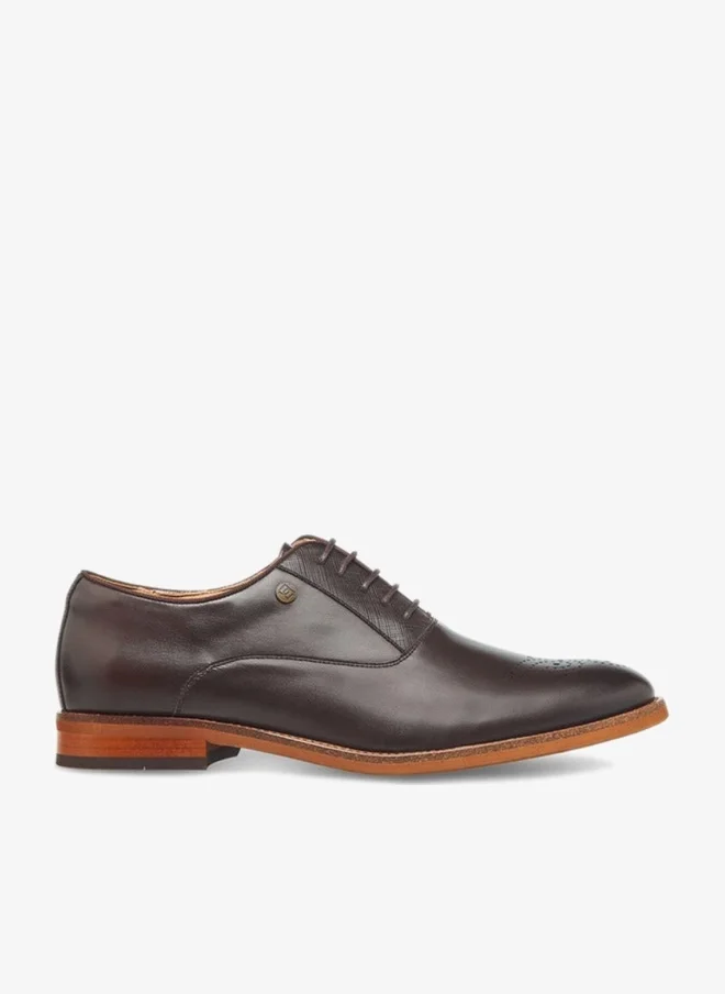 DUCHINI Men Lace-Up Oxford Shoes