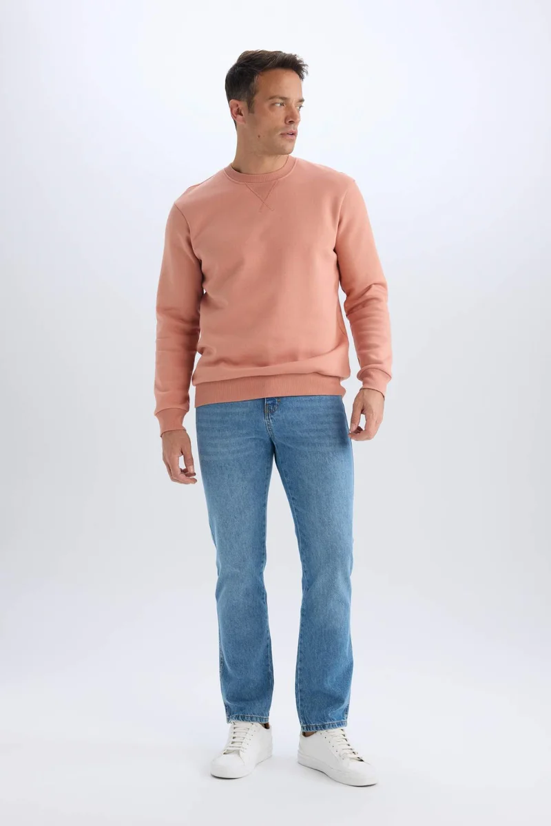 DeFacto Regular Fit Crew Neck Basic Thick Sweatshirt