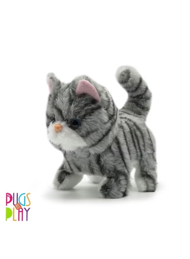 PUGS AT PLAY كلاب البج في اللعب زوي - Image 3