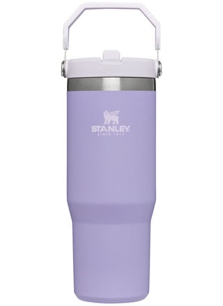 Stanley Quencher H2.0 FlowState Stainless Steel Vacuum Insulated Tumbler with Lid and Straw for Water, Iced Tea or Coffee, Smoothie and More, Tigerlily,30oz - pzsku/ZBAACE36A48A70AD58E45Z/45/_/1728727480/eab069b2-fa1d-4852-aa4d-55bcf40dce65