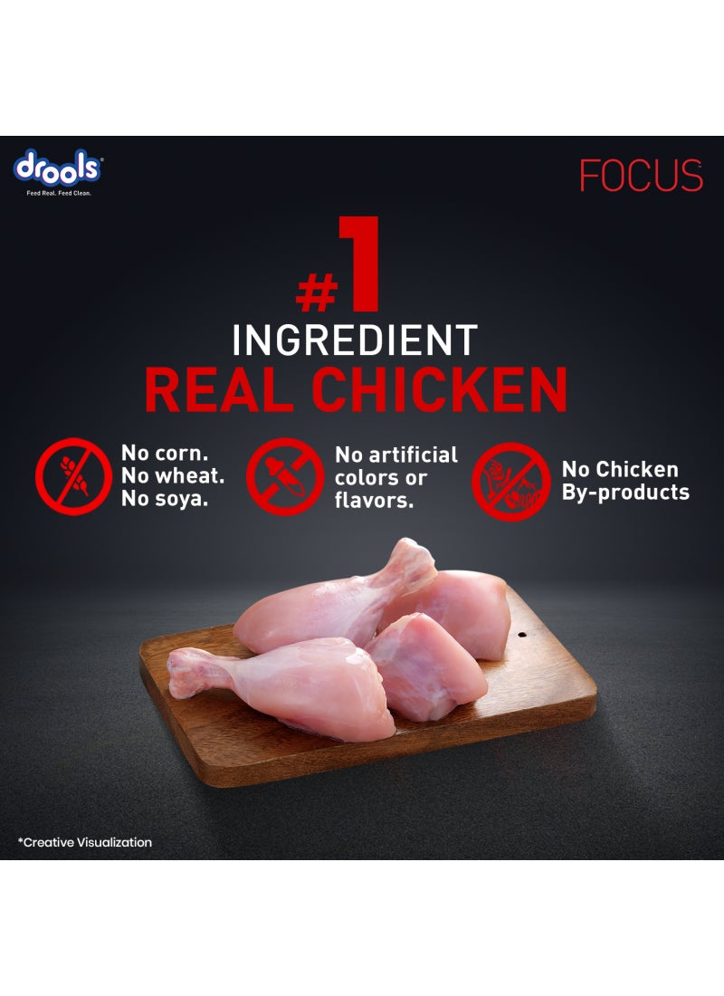 Drools Focus Premiun Starter Dry Dog Food  Chicken 1.2Kg - Image 4