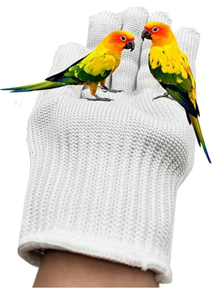 SYOSI 1Pair Bird Training Anti Bite Gloves Parrot Chewing Safety Protective Steel Wire Small Animal Handling fit for Squirrels Hamster Hedgehog  - Image 5