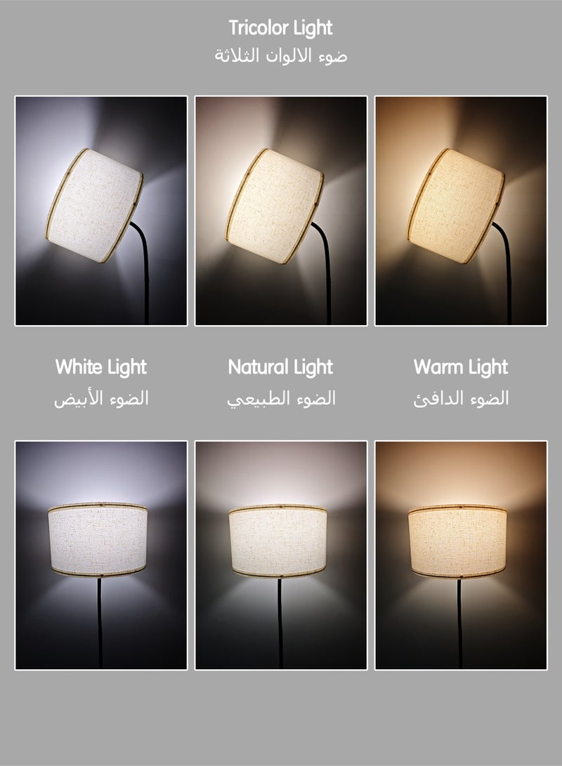 MITOYO Modern Design Floor Lamp - Standing Lamp with 30W LED Bulb - Adjustable Bend Angle - Metal Material - Three-color LED Light - White Light, Natural Light, Warm Light - Detachable Lamp for Living Room, Room, Office, Outdoor  - Image 3