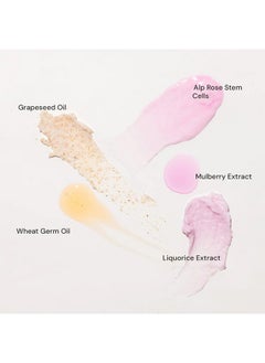 RAAGA PROFESSIONAL Stem Cells Infused Fairness 6 Step Facial Kit | Brightening Power Of Mulberry And Alp Rose Stem Cells | Reduces Dark Spots | All Skin Types (61 Gm)  - Image 4