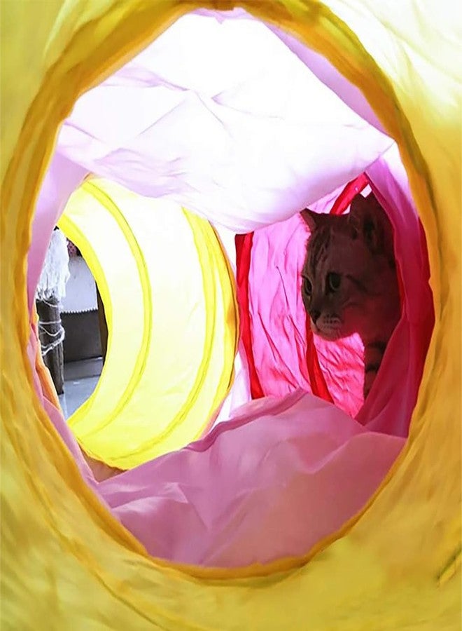Pets Empire Pet Cat Toy Tunnel Collapsible Foldable 5 Way Play Game Tube for Training Indoor Outdoor - Image 3