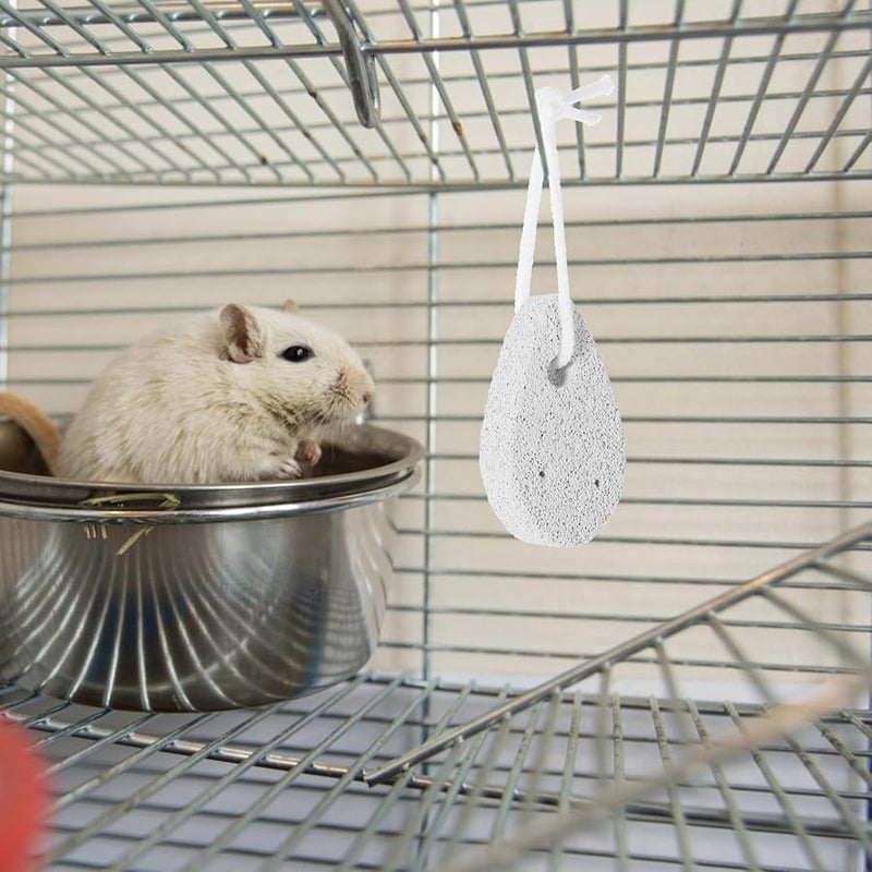 Natural Lava Stone Mineral Chew Toys for Hamsters Rabbits Guinea Pigs Small Animals 10pcs - Image 4