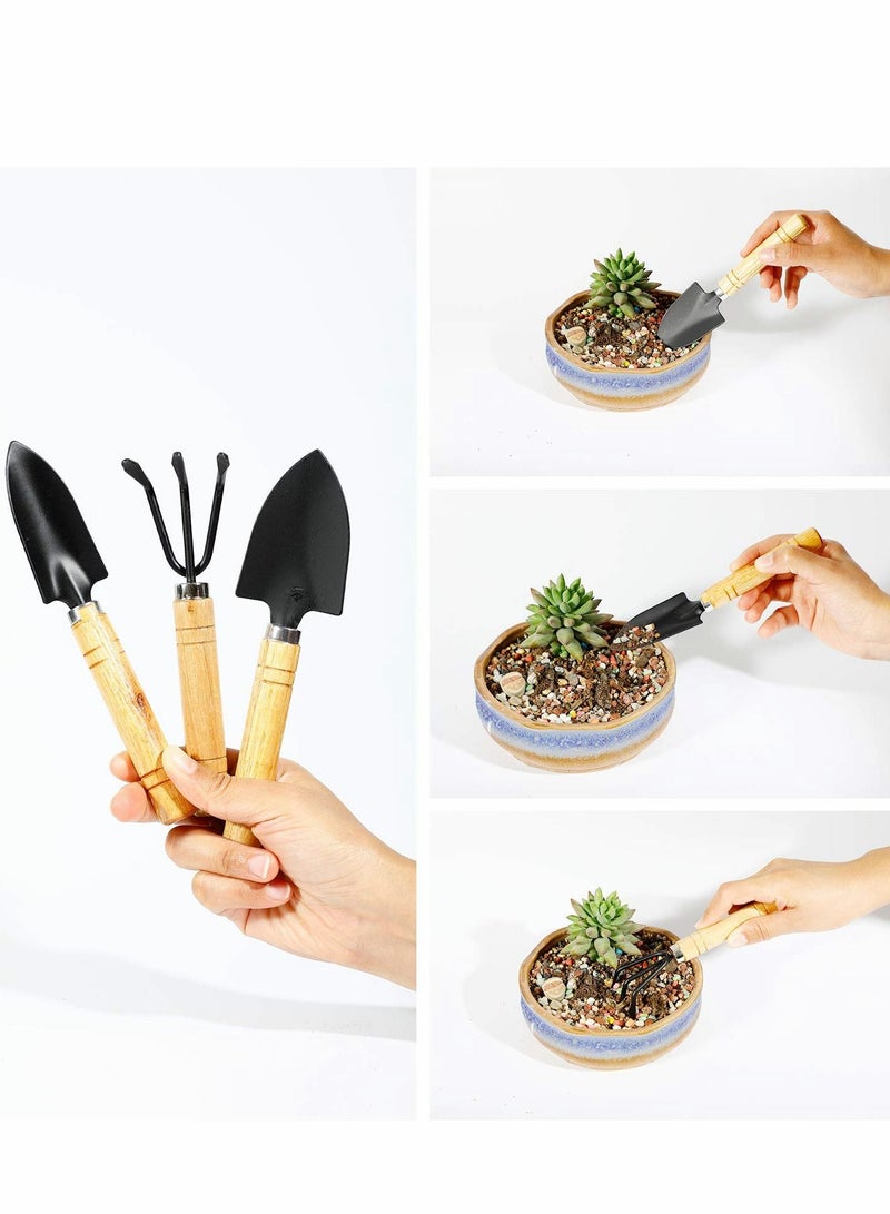 SYOSI Peat Pots for Seedling 100 pcs, Round Biodegradable Seed Starter Plants Nursery Seedlings Garden Bonus 100 Labels 3 Planting Tools & 1 Dispenser ( 204 ) - Image 3